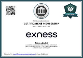 Understanding the Exness Disclaimer A Guide for Traders